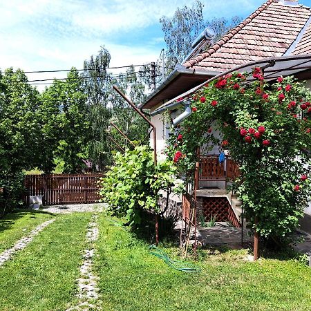 Casa De Vacanta Zsenik Vendeghaz Sovata Zewnętrze zdjęcie