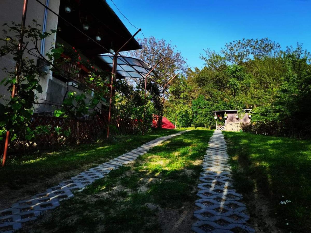 Casa De Vacanta Zsenik Vendeghaz Sovata Zewnętrze zdjęcie
