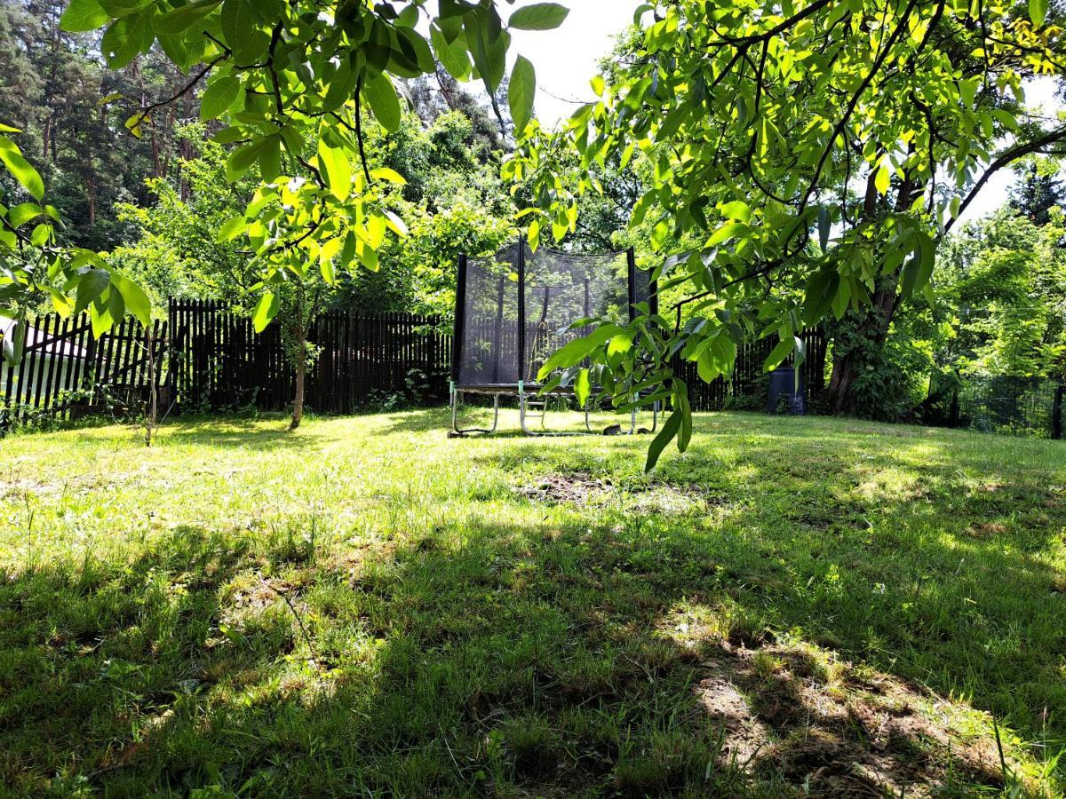 Casa De Vacanta Zsenik Vendeghaz Sovata Zewnętrze zdjęcie
